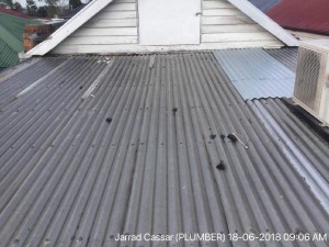 Leaking Roof Coburg