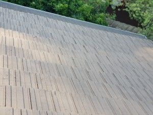 colorbond gutter guard forest hill