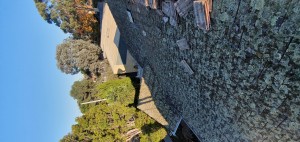 roof leak beaumaris